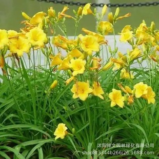 ����������������� ����� �t��ʯ����� ͥԺ ��· ���@�G��