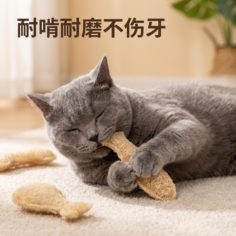 Natural Loofah Cat Toy, Natural Teeth-Cleaning Cat Self-Entertainment Toy, Chewable Catnip Kitten Toy Natural Loofah Cat Toy, Natural Teeth-Cleaning Cat Self-Entertainment Toy, Chewable Catnip Kitten Toy