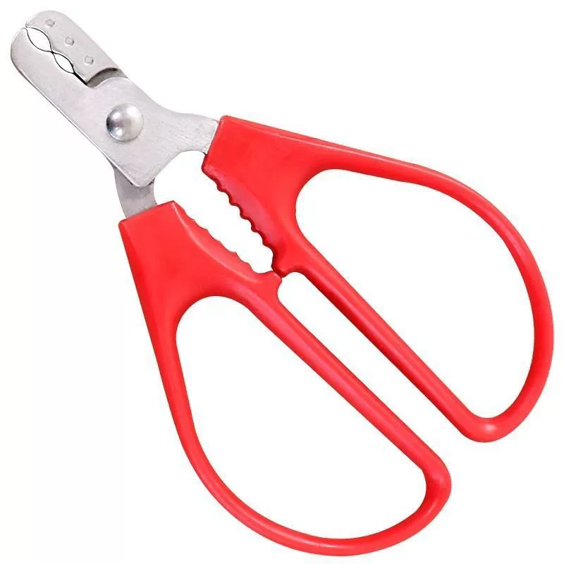 Peanut shell artifact clip peanut shell peeler hand peel peanut seeds remove the shell and pull SJ