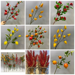 �S�����l����ʯ����Ӷ�֦�{�����滨���Q�Ҿ��b�c�b�ֲ��