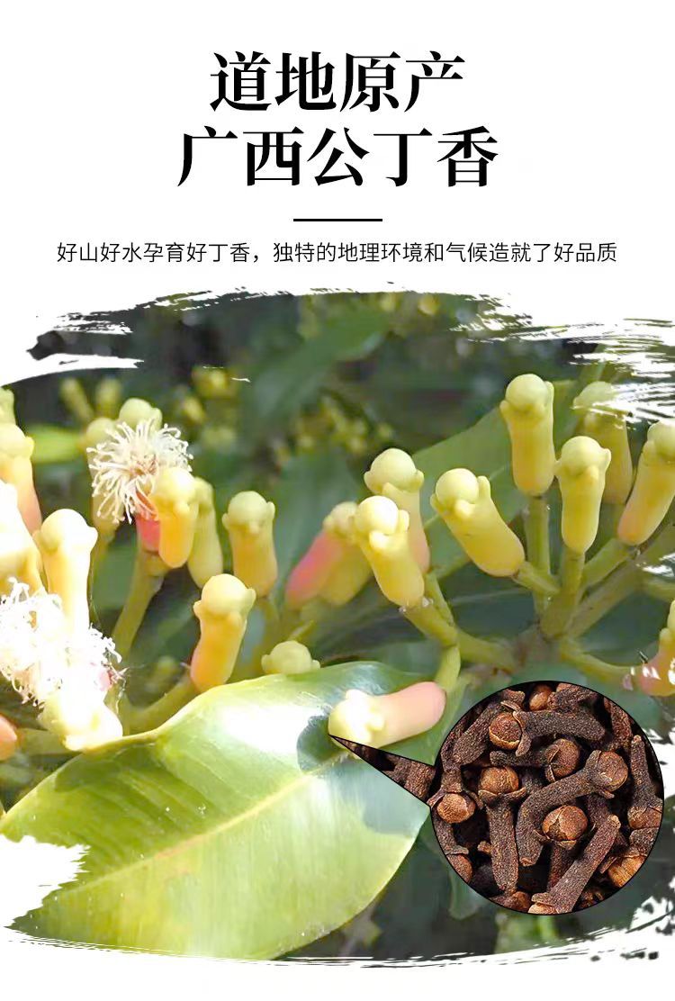 Gong Ding Xiang (Clove Bud, Syzygium aromaticum) — Dried Food-Herb Spice, 500g overview
