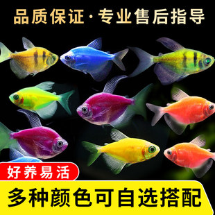 ��ʹ�~�^�p�~��̖Ⱥ�Α���С�͵�ˮ���B�ͻ�t��ʹ�ϻ��Ꭷ�~�~��