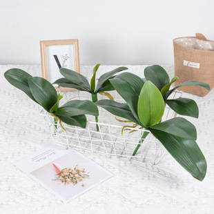 Film Moisturizing Feel Phalaenopsis Leaves Simulated Plants Artificial Orchid Leaves Chinese Phalaenopsis Potted Leaves