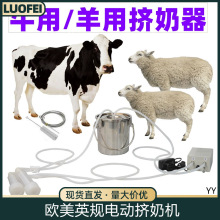 WҎD̙Cţ}늄ӔDСţĸ̙C