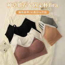 发育期内衣女学生初中生15岁少女外穿高中生大童抹胸女童背心