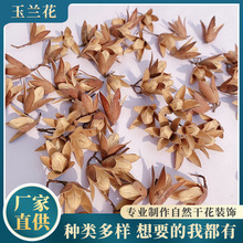 �羳�㴻���Ӵ����m������ �ɻ�diy���ϰ��[�������������ɻ����l