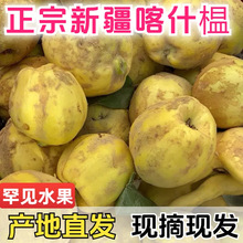 �����½��v�K�������rˮ��֮���f�۹Ͻ��O��ľ�Ϻ�Ҋˮ����S���]