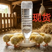 小鸡/蜜蜂自动饮水器雏鸡&蜜蜂喂水器 Automatic water dispenser