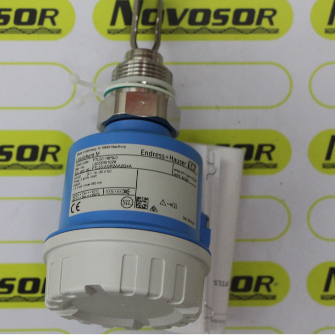 E+H流量开关FTL50-AGR2AA2G4A  L9058301026