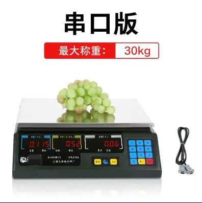 ACS-30Kg/10g 직렬 포트 스케일