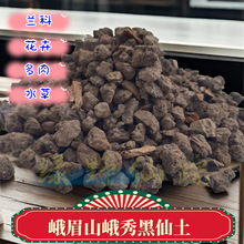 ���ڶ�üɽ���������Y�w����̿���w���m������ˮ���ú������I�B��