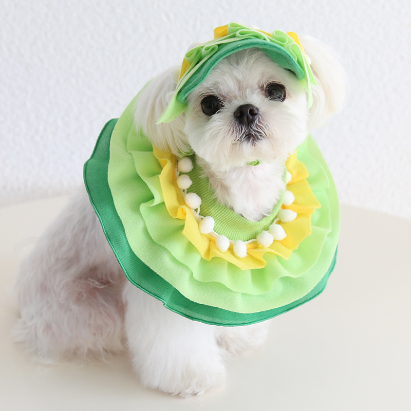 Petstyle װΧˮ èΧñʥװ