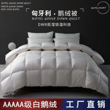 ��q��95���Z�q���ӼӺ�ů����о���ﱻ�ޱ�������p�˿羳һ��