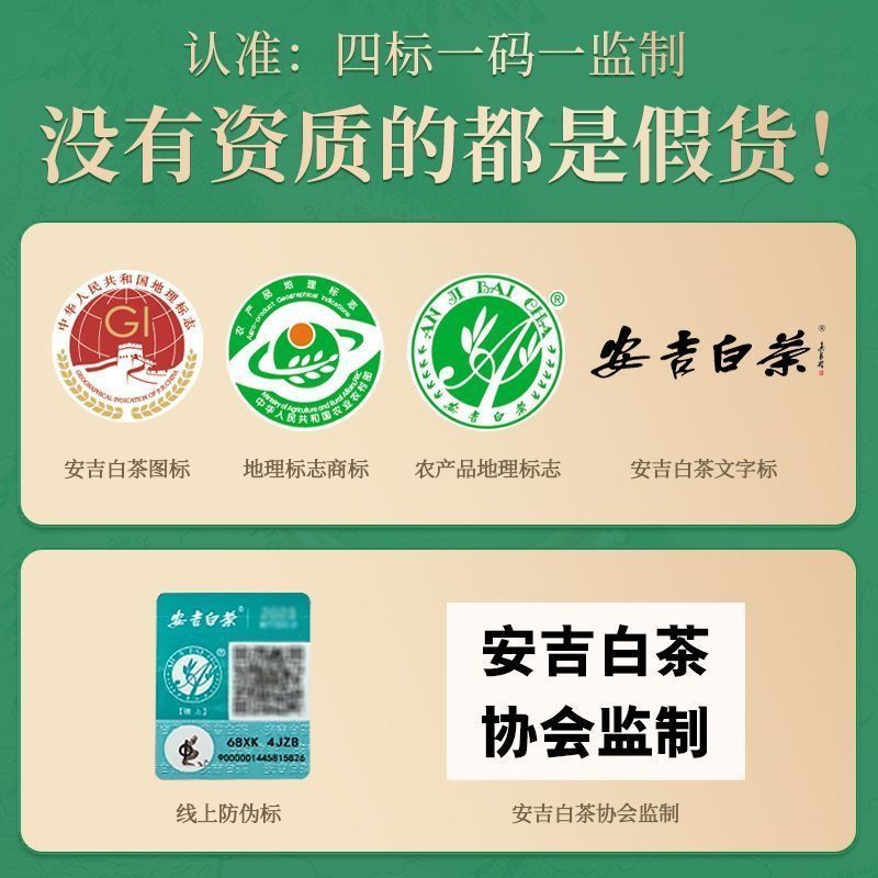 本格安吉白茶 季節新特選新茶 高山希少白茶 ルースティー 緑茶 高級茶|undefined