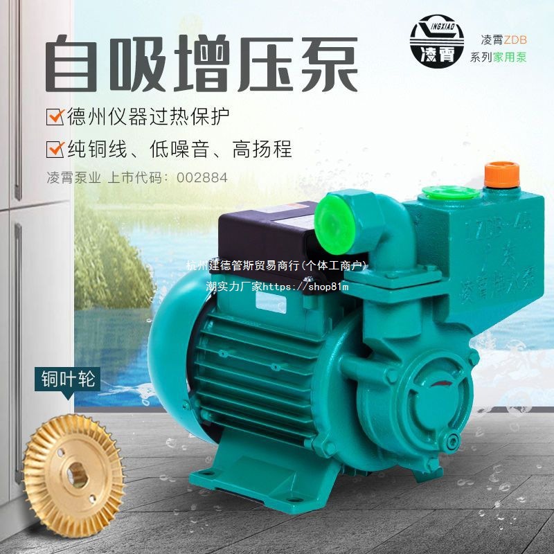 广东凌霄1ZDB35/45/65-B自吸清水泵家用自来水全自动增压泵抽水机