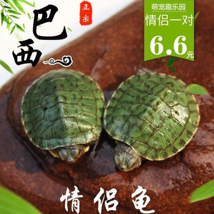 �������������С�������w�^�p�����������ˮ���t����������H��