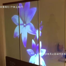 ȫϢͶӰĤ ͶӰ�x�����V���NĤ��ͶĤ3d�� 45�ȷ���Ĥ