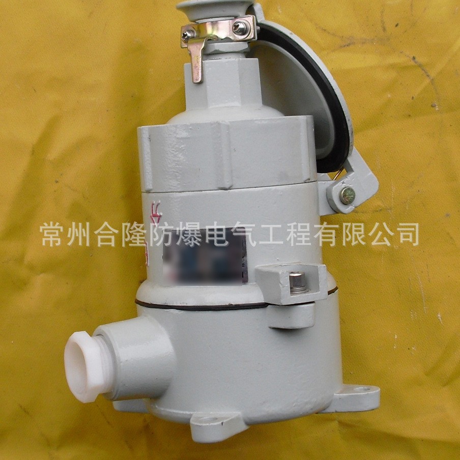 【厂家供应】防爆插销AC-16/AC-32/AC-63/AC-125