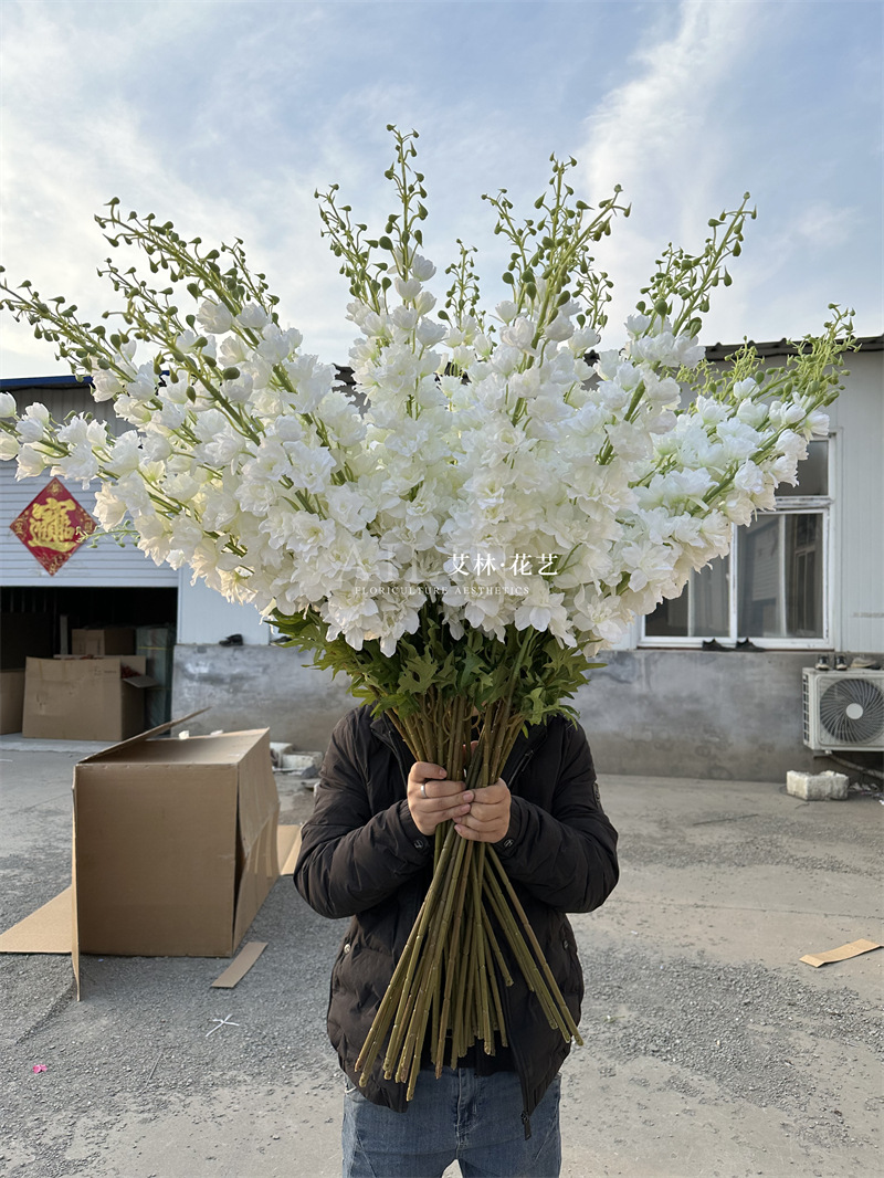 Extra large delphinium
