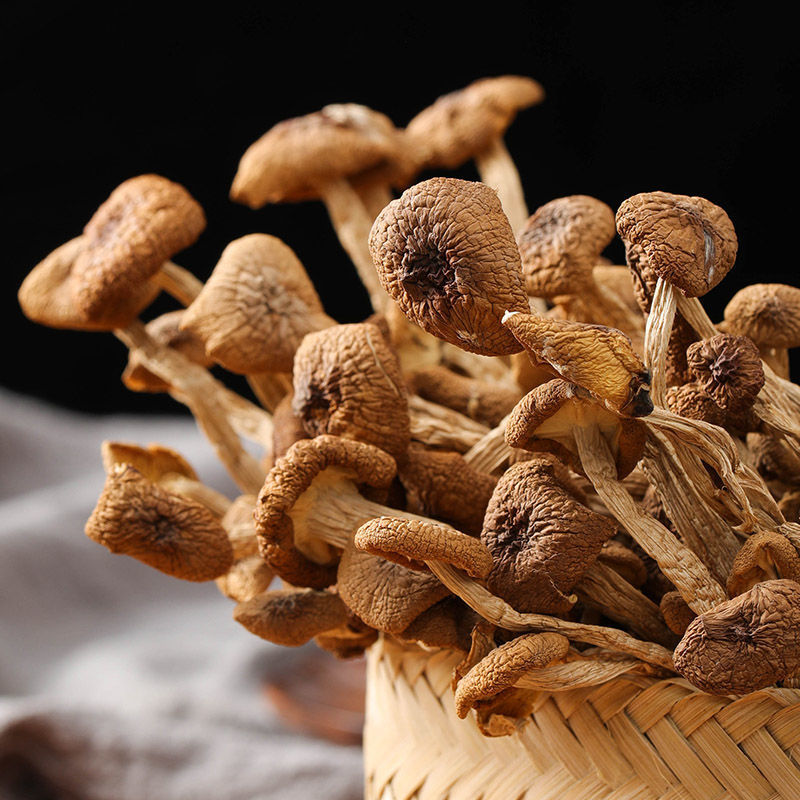 茶树菇干货甄选不开伞切根新货菌菇云南农家自产特产官方旗舰店