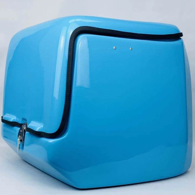 car trunk with strut takeout – Electric car tail box