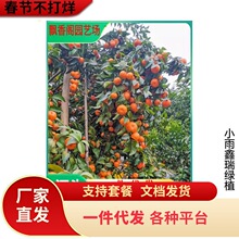 ����ɳ���ٹ�����ͥԺ���Դ�����玧���ϱ����Nֲ�����Ԯ���Y��