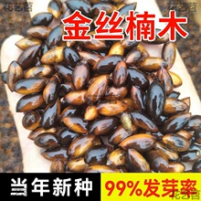 ڽzľNĴС~骼~z骘E2024²ɷN