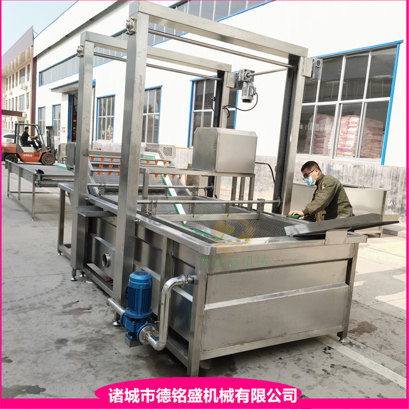Bubble cleaning machine for removing pesticide residues from fruits…