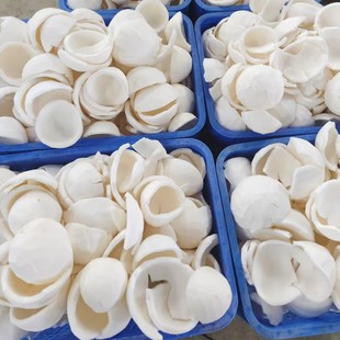 Ҭ�⺣��Ҭ����K��Ҭ�����r�ك����lҬ��Ҭ��ե֭�Ҝ��S�����l