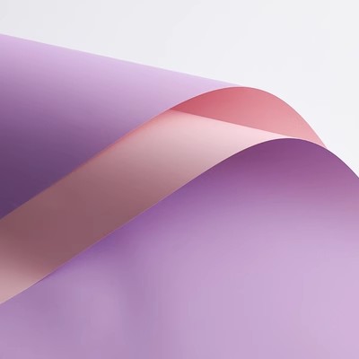 베어 파우더 정향 보라색; 56*56cm/20 장