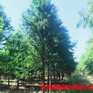 �������l�@�־G��ľ ��������ɼ��� Ҏ���Rȫ ī��������ɼ����