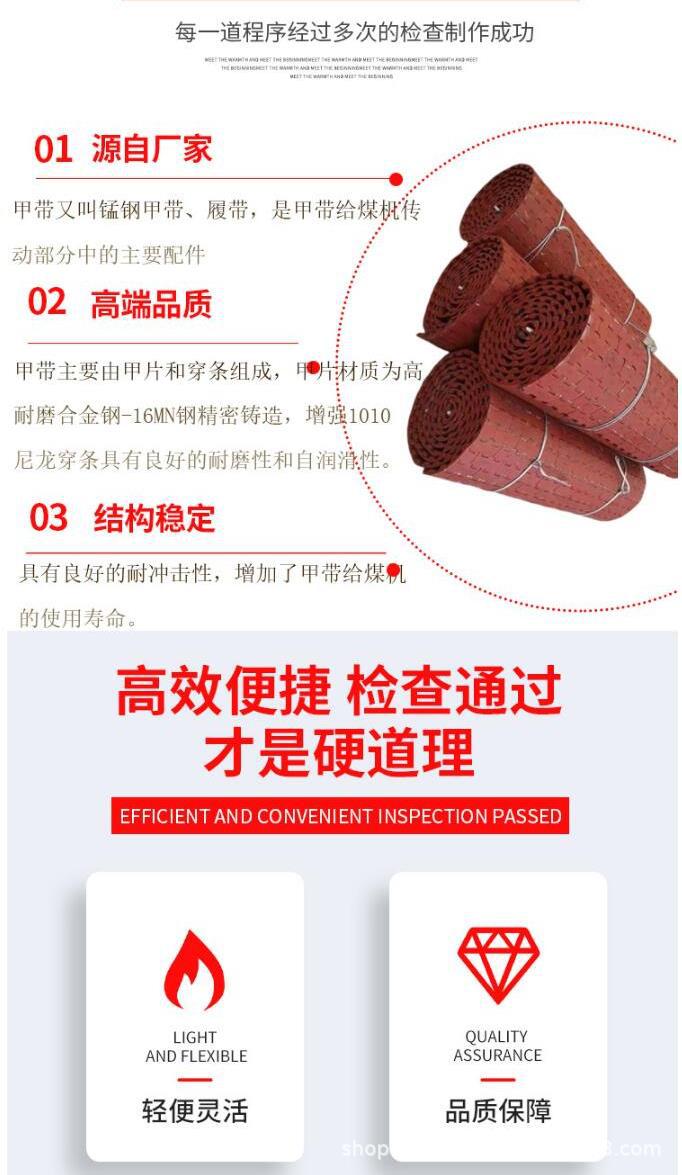 给煤机甲带_2.jpg
