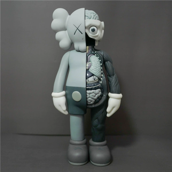 Anatomy, 37cm