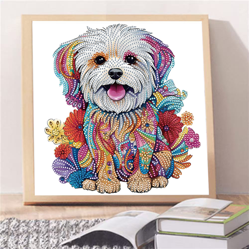 Pintura de Diamantes 5D con Forma Irregular de Princesa de Fantasía, Pintura de Diamantes DIY, Pintura de Diamantes con Puntos de Cristal, 30×30