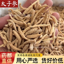 正宗产地中药材贵州野生太子参粉孩儿参无硫新货干货儿童成长煲汤