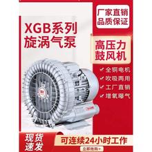 �߉����u�L�C���I���L�C�����vʽ�����������u݆���u