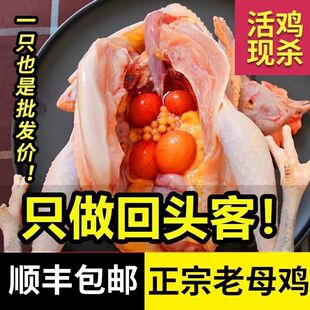 ����S��朡��F������ɢ�B����ĸ�u���u�ߵ��u���u���u���u