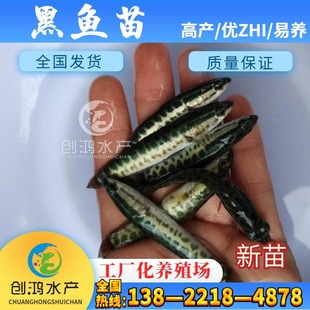 ���� ���|���~�~�� ���~�� �s�����~�� �^�p�~ �����~����