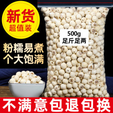 500gȥоɏĥƤȥͨоɏɢbɏɏҰ؛