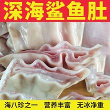 深海鱼肚新鲜鲨鱼肚海八珍鱼胶花胶天然鱼肚鱼宝火锅食材新鲜水产