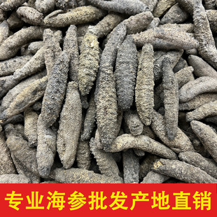 �������l���O��ԭ؛Ұ�����ɺ�����؛С�д̅����ô󺣅��ͶY��Ʒ