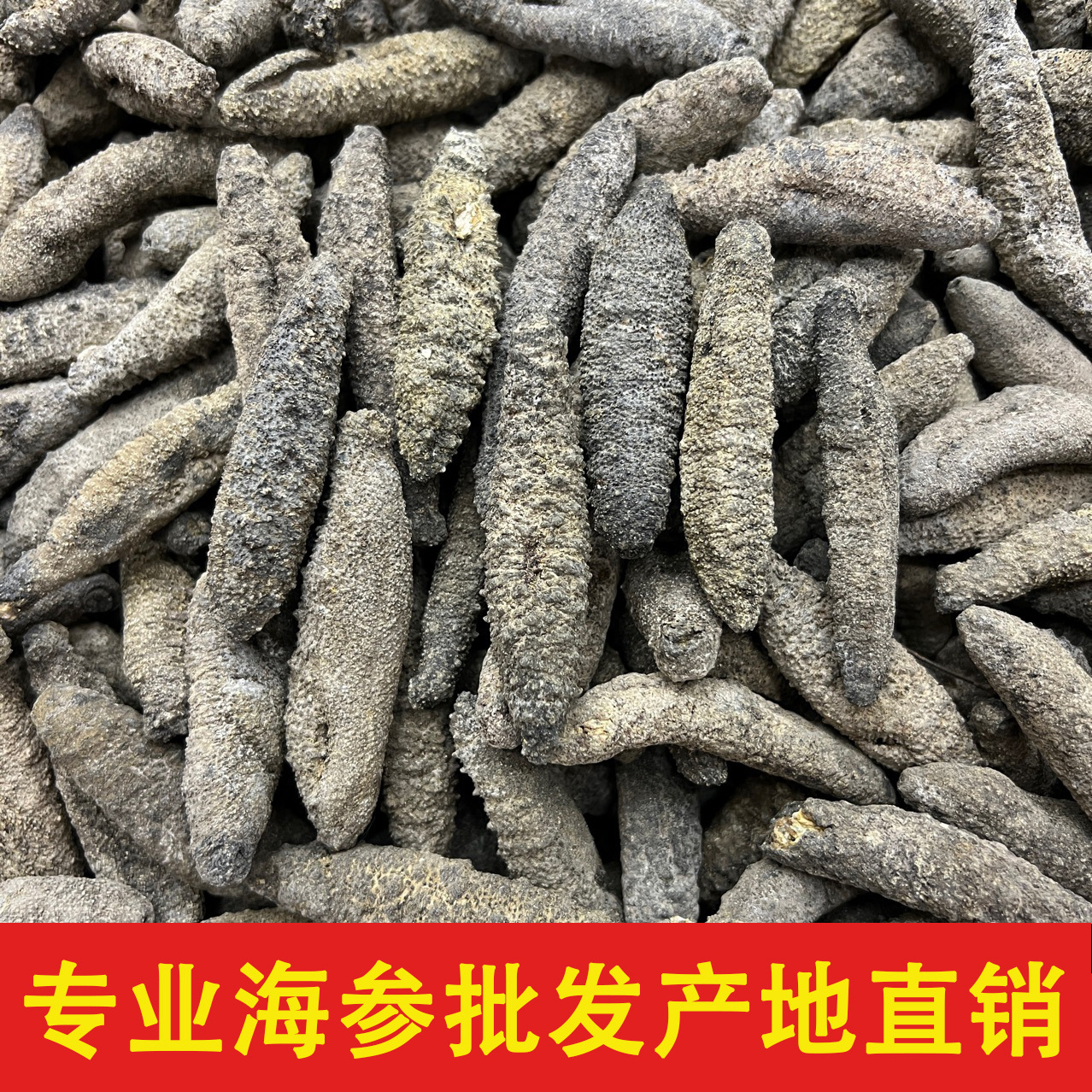 海参批发北极参原货野生淡干海参干货小有刺参加拿大海参送礼佳品