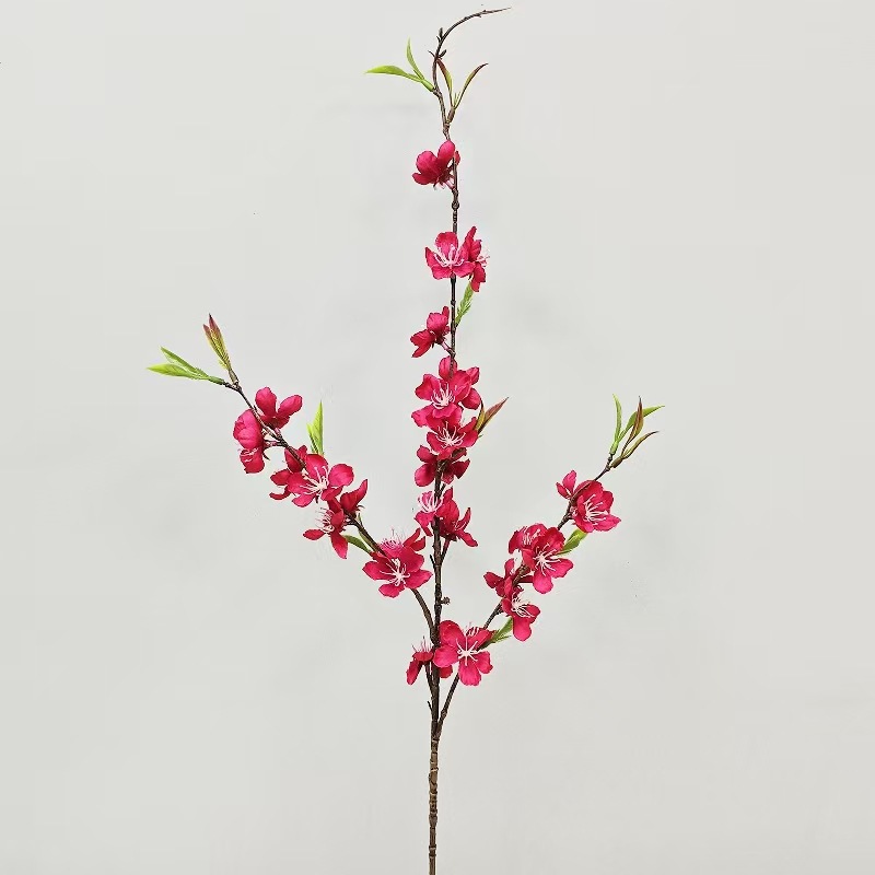 세 갈래 녹색 잎 매화 장미 빨간색