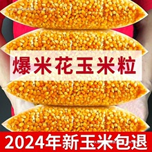 ӰԺ���׻����������������������α��׻�ԭ�ϱ������׶���������