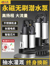 家用直流无刷潜水泵48v60v电瓶车小水泵高扬程水井抽水机泵