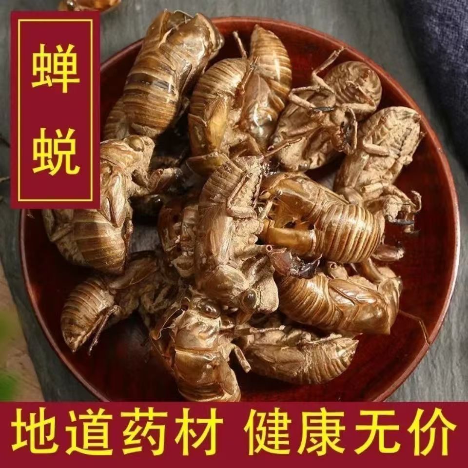 中药野蝉蜕蝉脱金蝉衣金蝉壳蝉皮蝉壳蝉衣 知了皮知了壳精品