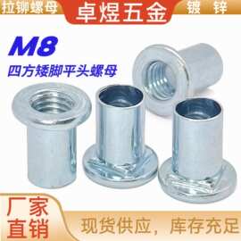 镀锌平头四方铆螺母倒帽M8打板螺母矮脚扭四方底圆管半牙拉铆螺母