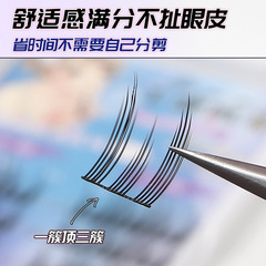 純欲兔精靈自然小貓耳睫毛單簇懶人系列漫畫仙子小惡魔新手假睫毛