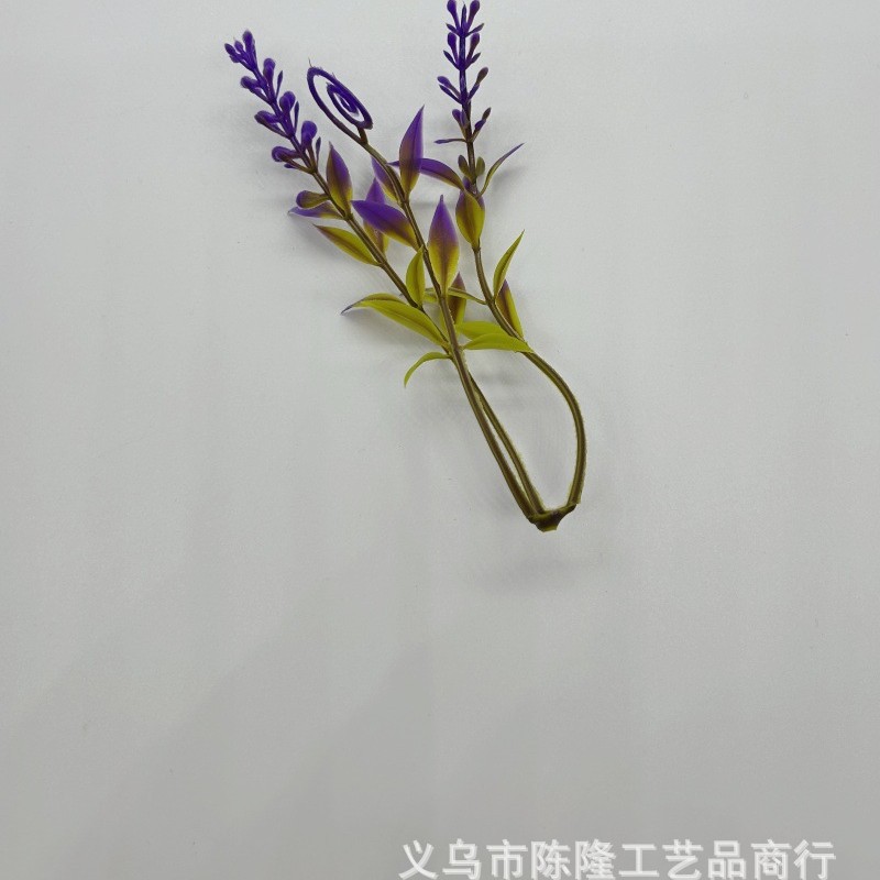 2025-03-19 17:50:16.jpg