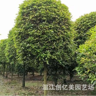 �𻨘���3-20���ֹ���ߗU�𻨻\����ͥԺ�𻨘�